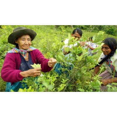 Peru washed Arabica Grade 1, Organic DE- ÖKO közepes pörkölésű 100% Arabica szemes kávé 1 kg